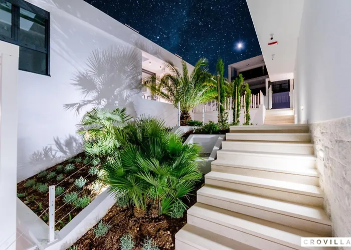 Vitae * سوتيفان